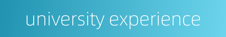 university experience的同义词