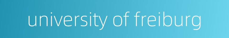 university of freiburg的同义词