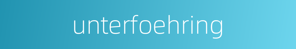 unterfoehring的同义词
