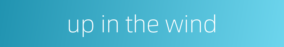 up in the wind的同义词