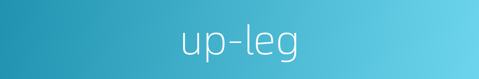 up-leg的同义词