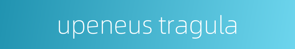 upeneus tragula的同义词