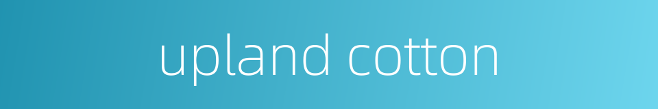 upland cotton的同义词