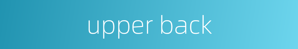upper back的同义词