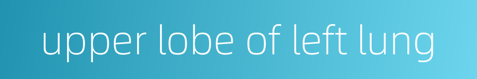 upper lobe of left lung的同义词