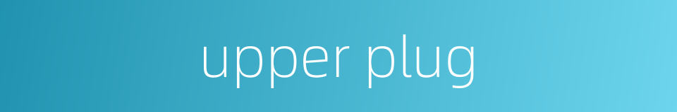 upper plug的同义词