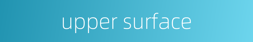 upper surface的同义词