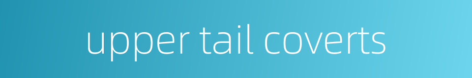 upper tail coverts的同义词