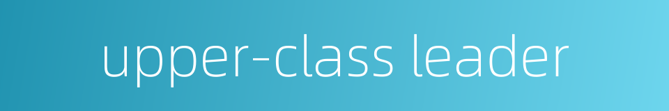 upper-class leader的同义词