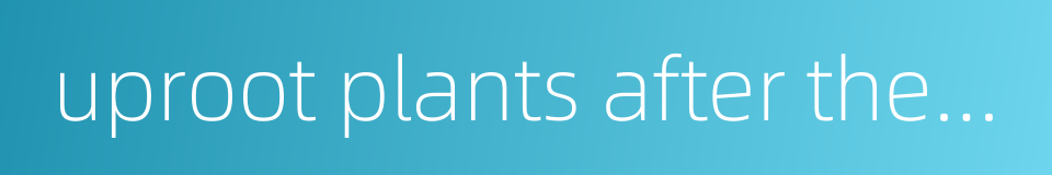 uproot plants after their edible portions have been harvested的同义词