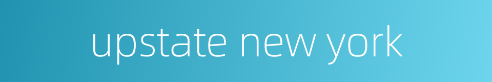 upstate new york的同义词