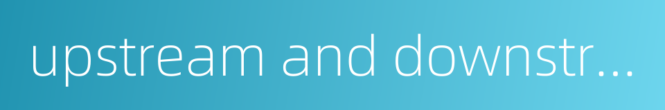 upstream and downstream firms的同义词