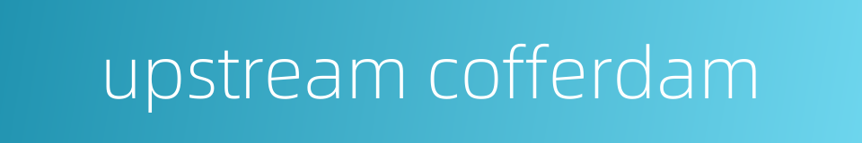 upstream cofferdam的同义词