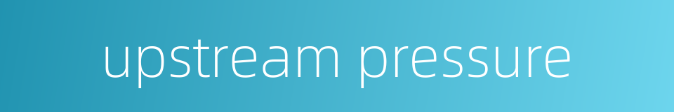 upstream pressure的同义词