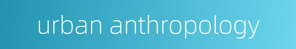 urban anthropology的同义词