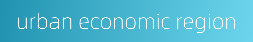 urban economic region的同义词