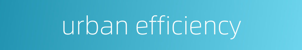 urban efficiency的同义词