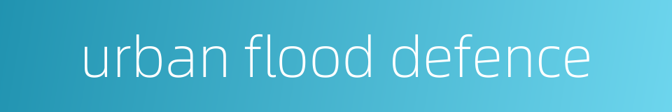 urban flood defence的同义词