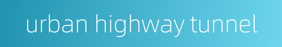urban highway tunnel的同义词