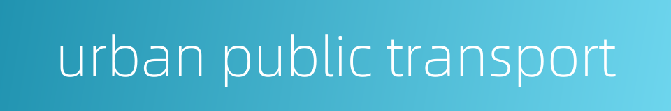 urban public transport的同义词