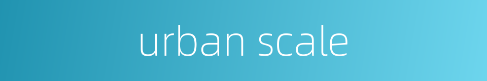 urban scale的同义词