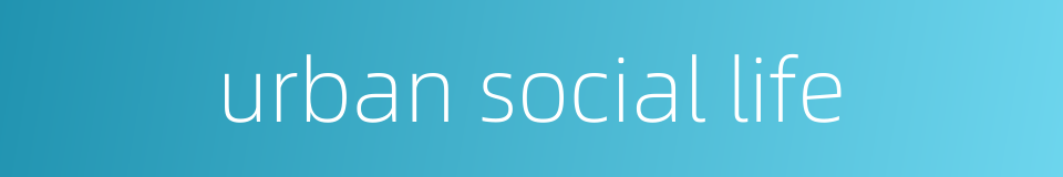 urban social life的同义词