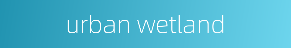 urban wetland的同义词