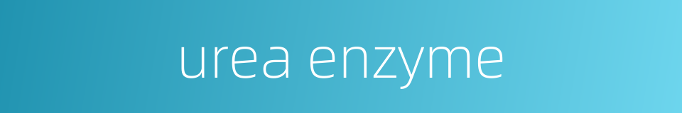 urea enzyme的同义词