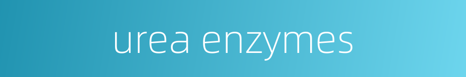 urea enzymes的同义词