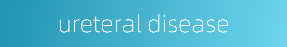 ureteral disease的同义词