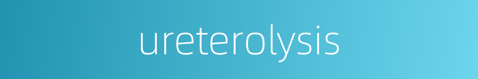 ureterolysis的同义词
