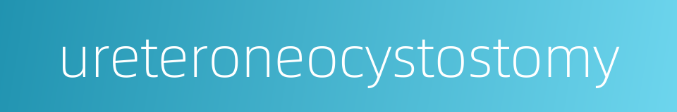 ureteroneocystostomy的同义词