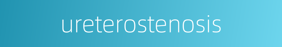 ureterostenosis的同义词