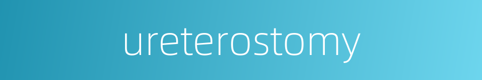 ureterostomy的同义词