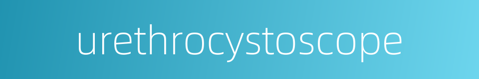 urethrocystoscope的同义词