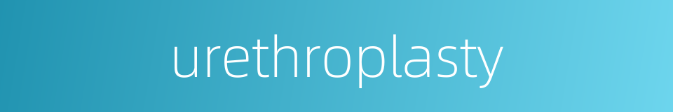 urethroplasty的同义词