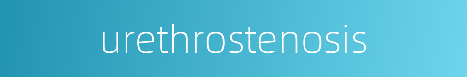 urethrostenosis的同义词