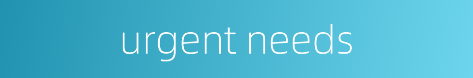 urgent needs的同义词