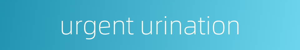 urgent urination的同义词