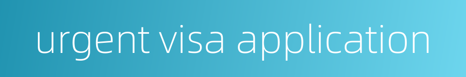 urgent visa application的同义词