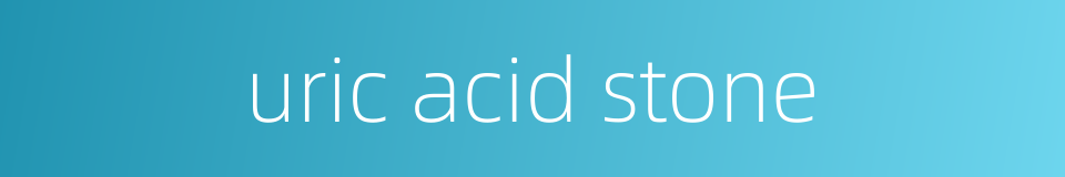 uric acid stone的同义词