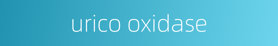 urico oxidase的同义词