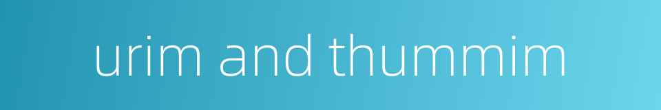 urim and thummim的同义词
