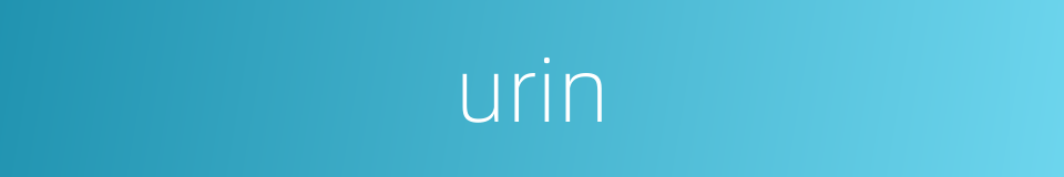 urin的同义词