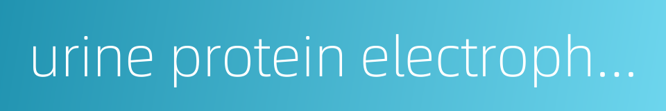 urine protein electrophoresis的同义词