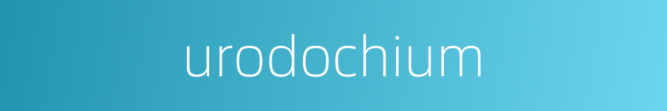 urodochium的同义词