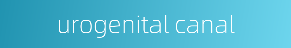 urogenital canal的同义词