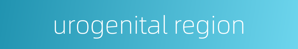 urogenital region的同义词