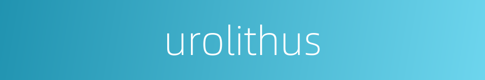 urolithus的同义词
