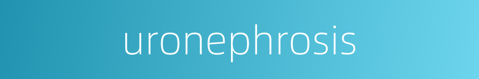 uronephrosis的同义词